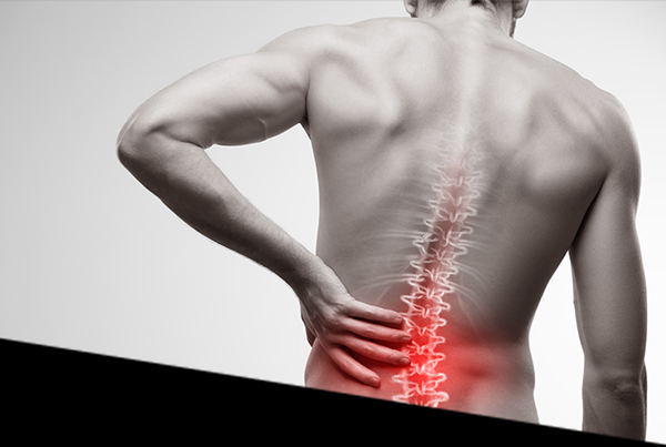 Low Back Pain